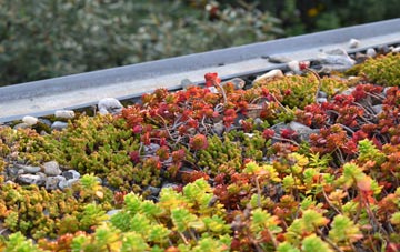 the cost of Leigh Upon Mendip green roof installation