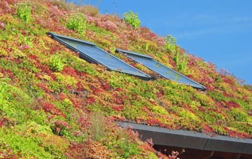 Leigh Upon Mendip living roof systems