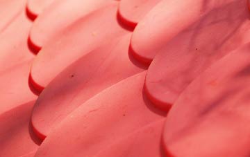 Leigh Upon Mendip plastic roof costs