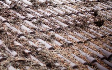 Leigh Upon Mendip roof cleaning companies