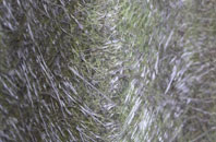 Leigh Upon Mendip fibreglass roof work